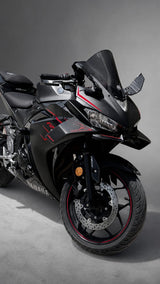 Yamaha R25 Winglet