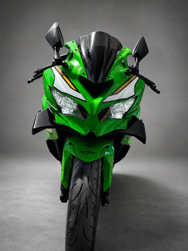 Kawasaki ZX4RR winglet